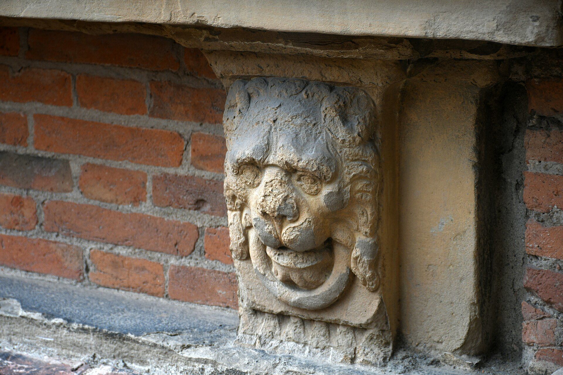 Campus de Università di Bologna